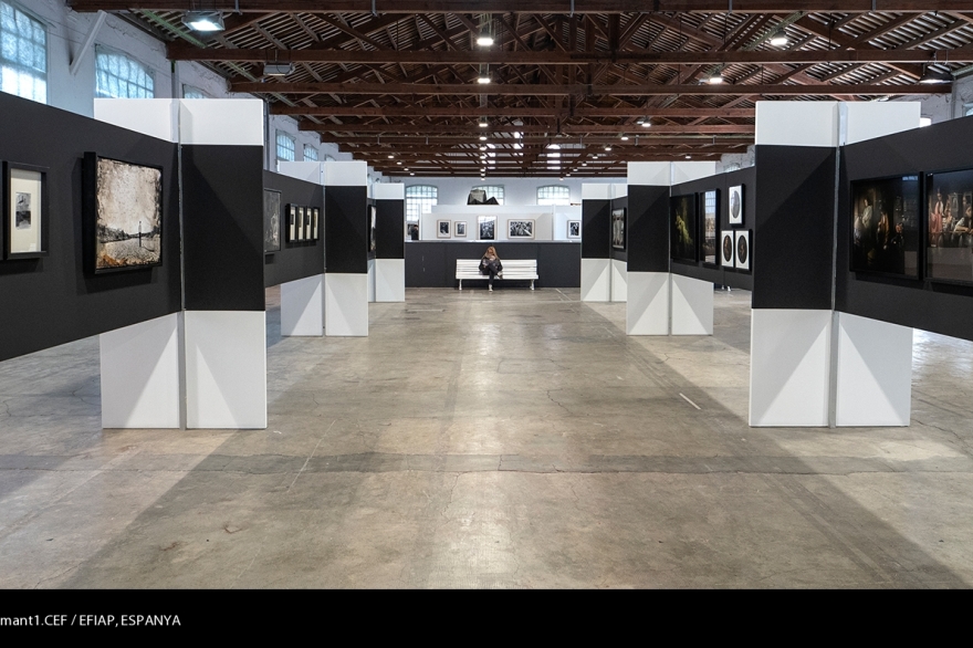 338 118 Asalaexpopell2022